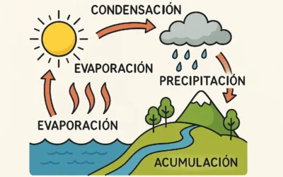 Ciclos del agua: explicación fácil del ciclo hidrológico y sus etapas