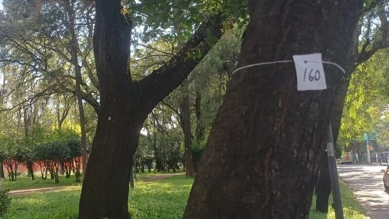 camellon daño-arboles-azcapotzalco-mexibus-linea-5