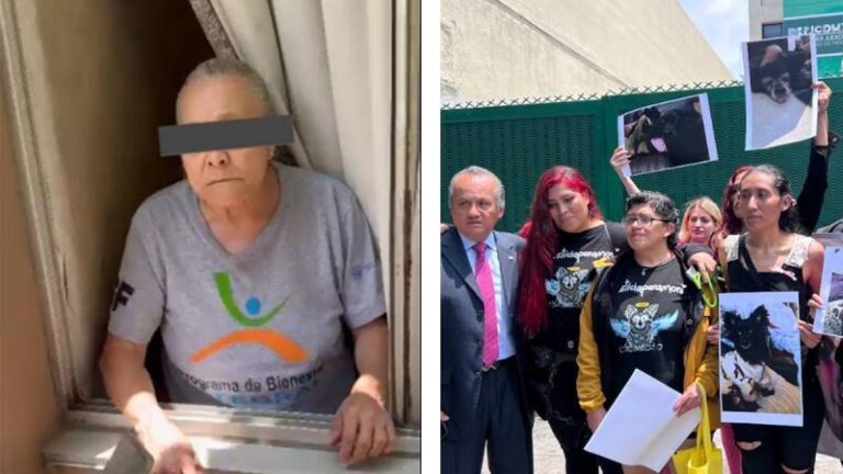 Abuela “mataperros” libra otra audiencia