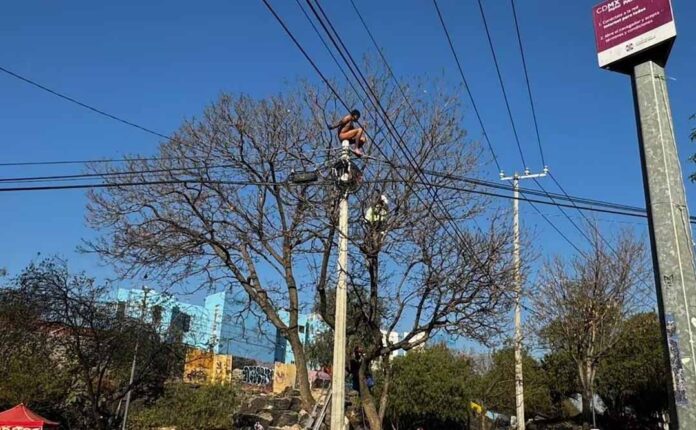 Hombre escala poste en Coyoacán