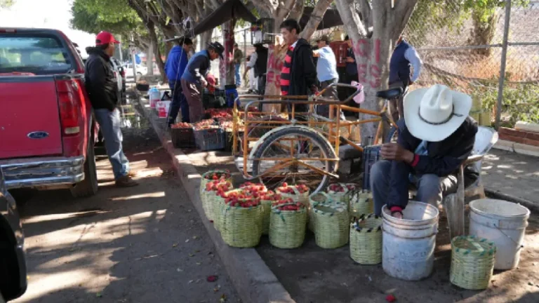 Extorsión afecta a vendedores de fresas en Irapuato y Salamanca
