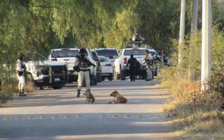 Detienen a “La Señora”, presunta líder del Cártel de Santa Rosa de Lima