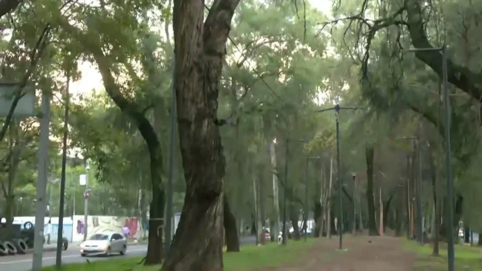 vecinos El Rosario Azcapotzalco Mexibús Línea 5